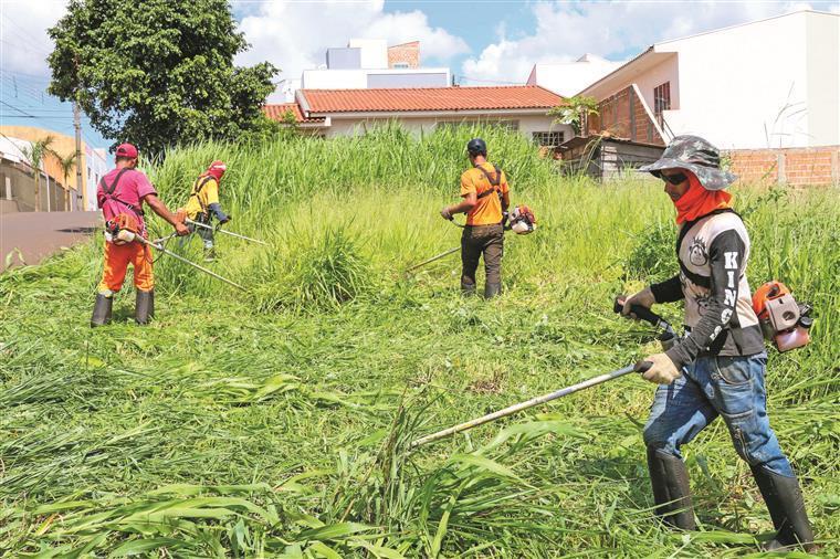 Terrenos têm de ser limpos até 15 de março, inclusive em redor das habitações