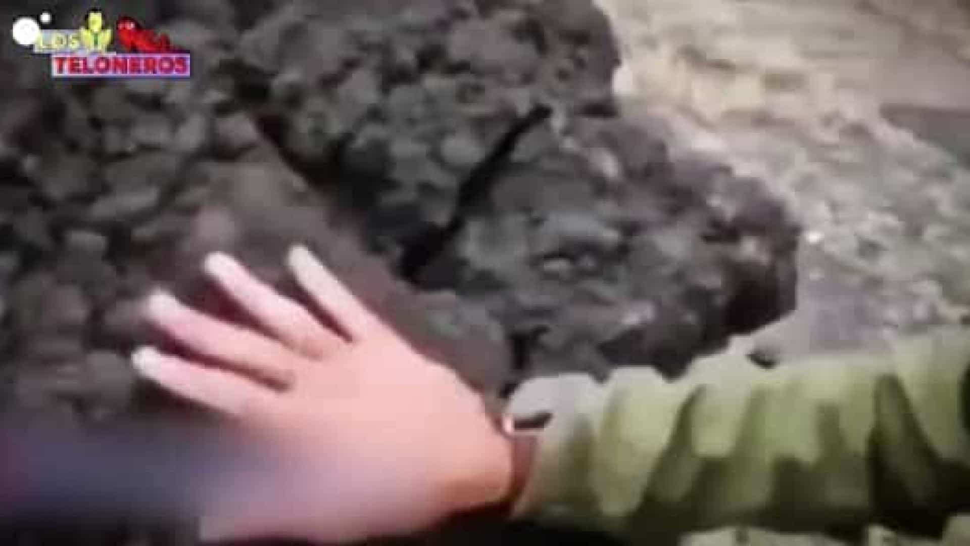 Jornalista sem noção fica ferido ao tocar em lava do vulcão de La Palma (VÍDEO)